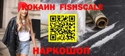 крисы Гатчина