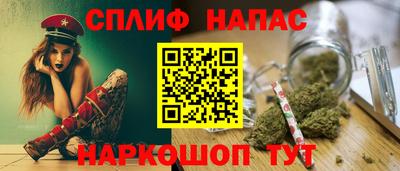 крисы Гатчина
